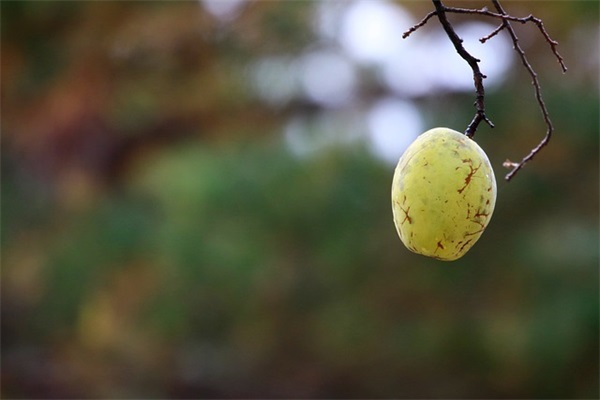 夸奖老公优秀的简短句子精选22句