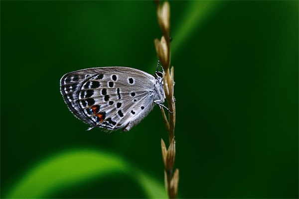 表示闲着无聊的句子精选350句
