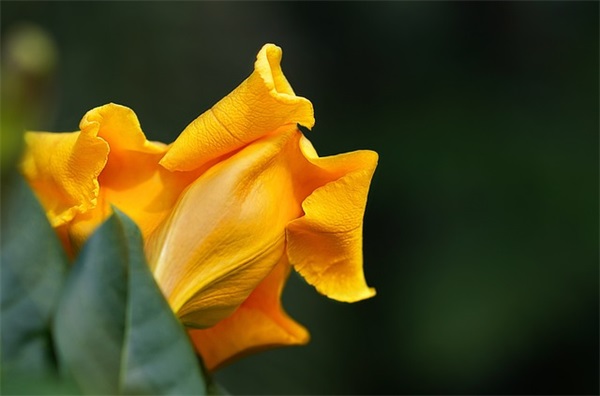 战争与和平经典句子