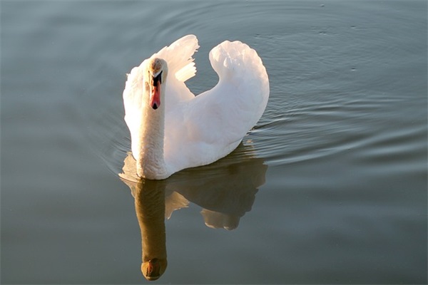 人要懂得感恩的句子74条