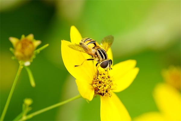 立秋热门文案说说 立秋文案