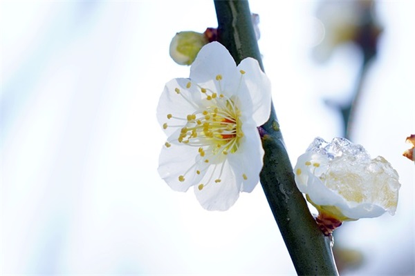 想对老师说的话85句