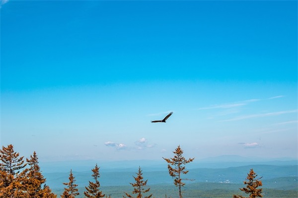 2025暖心跨年说说句子 2025跨年文案句子