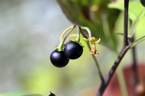 关于往后余生的说说句子