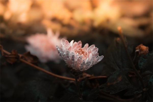 调侃穷的幽默句子摘录66条