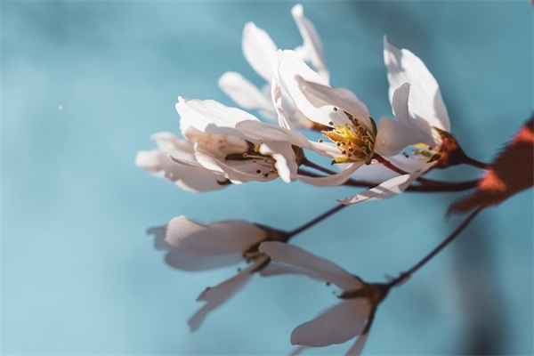 带爷字的男生霸气网名(优选110个)