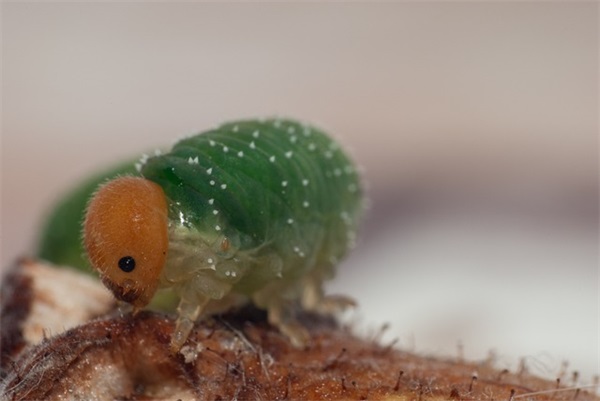 qq男生个性网名带符号(共111个)