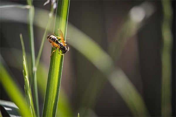 沙雕男生网名逗比英文名字(112个)