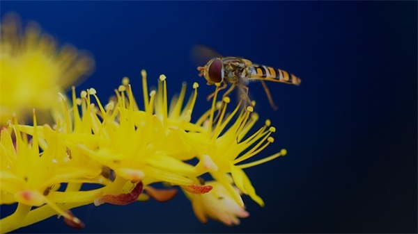 王者荣耀游戏名字大全2025