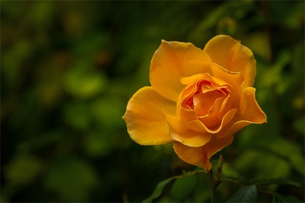 好看的游戏昵称2025