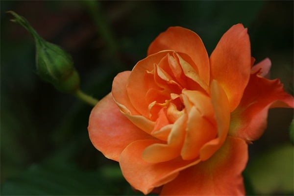 有个性的污网名