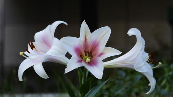 形容友情不散的句子分享