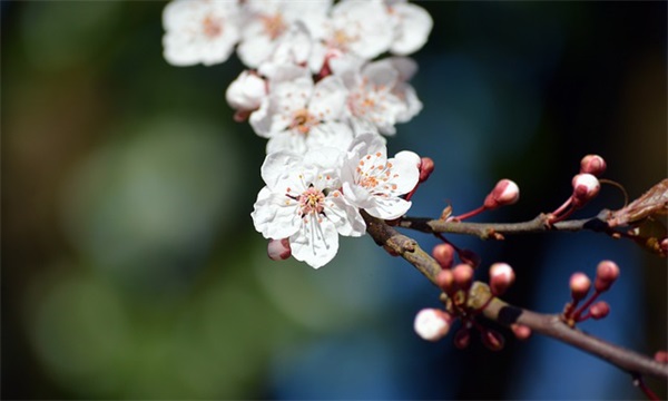 孩子成长语录句子(摘抄60句)