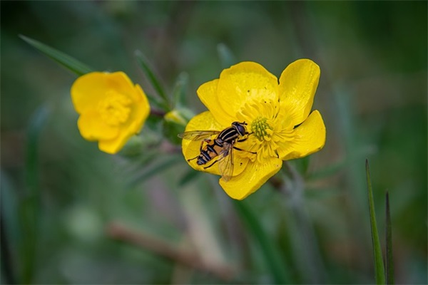 人这一辈子经典句子