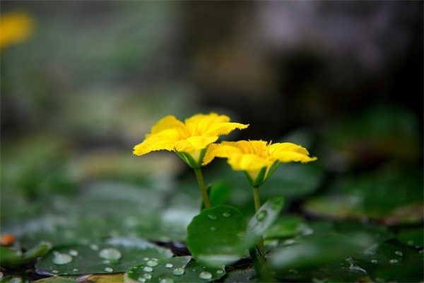 适合给好朋友留言的句子精选35条