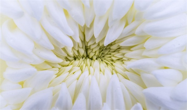 正能量激励团队的话语150句