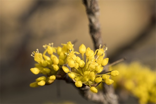 五四青年节的唯美句子