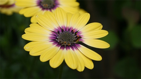 底线的句子200句