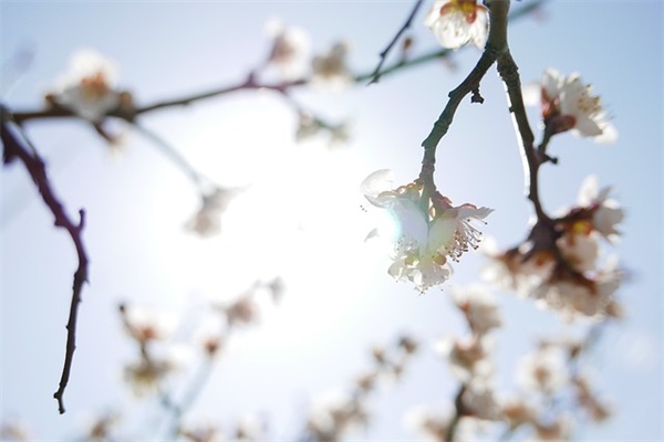 每日一句话优美句子 每日打卡一句话(精选97句)