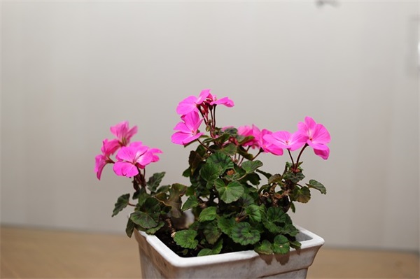 形容感触很深的句子 形容一个人感触很深的句子