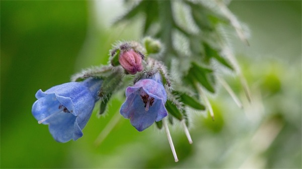 旅途愉快简短的句子 旅途愉快祝福语(精选75句)