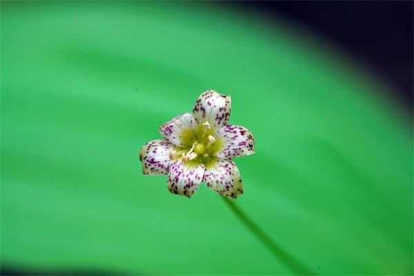 一个人迷茫无助的句子说说：我们都始终在为生活奔波着
