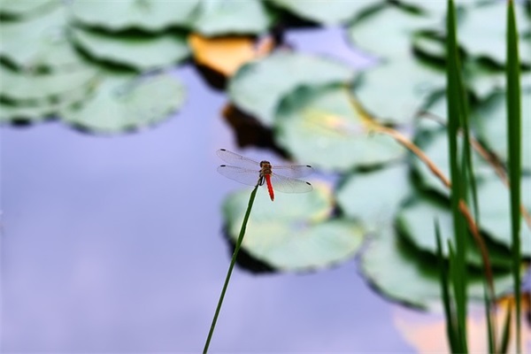 一个人哭泣的说说 【100句精选】