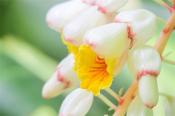 好听的留言短句子137句