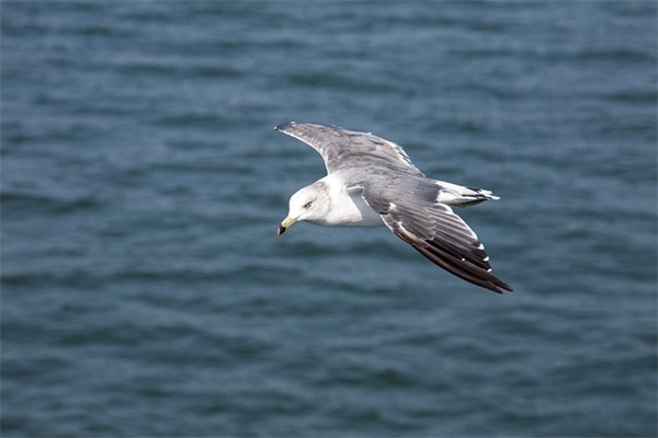 一个人搞笑说说-99句