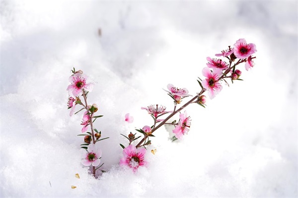 妈妈给高三女儿的简短寄语-37句