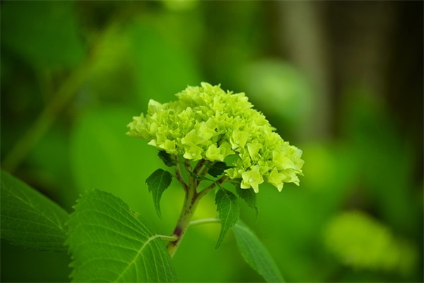 爸爸写给女儿的小升初的寄语-51句