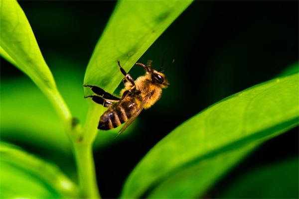 给宝贝生日的成长寄语-51句