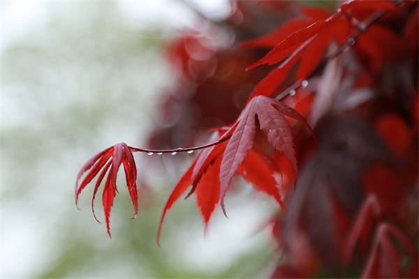 寄语女儿成长的句子-50句