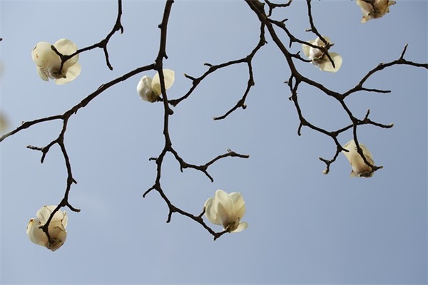 妈妈对幼升小孩子寄语-52句