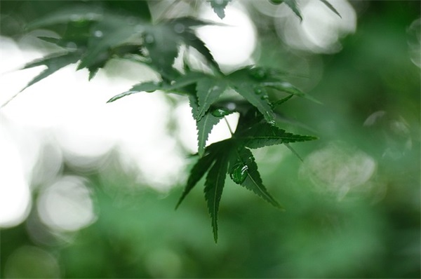 老师对全班孩子的寄语和鼓励-57句