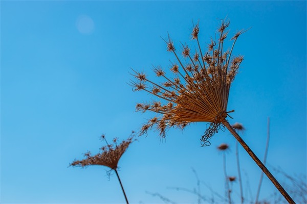 7岁宝宝生日寄语简短唯美-52句