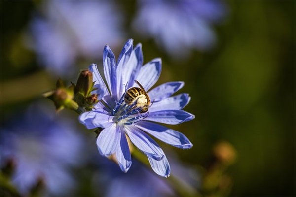 给高三同学的鼓励寄语-57句