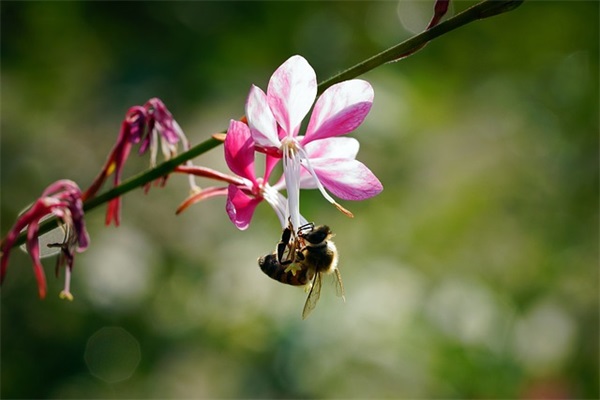 家长送给中考生的毕业寄语-53句
