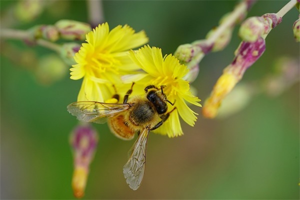 对新生儿的成长寄语简短-50句