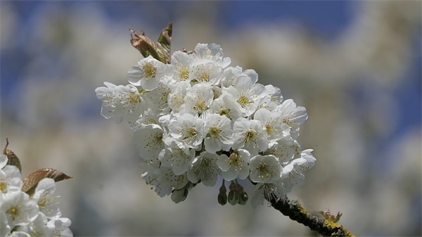 给高考朋友的鼓励寄语-50句
