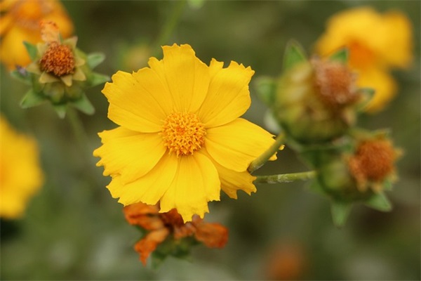 家长给孩子的中考鼓励寄语-56句