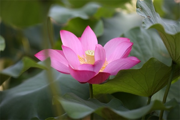 新学期励志寄语-50句