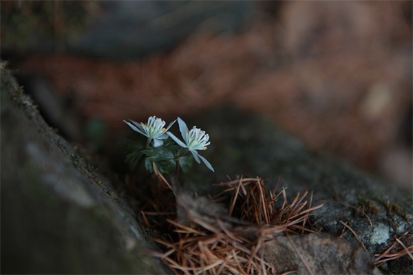 给高一学生的励志寄语100字-52句