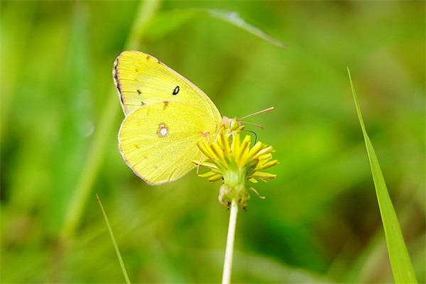 给高考生的励志寄语大全-55句