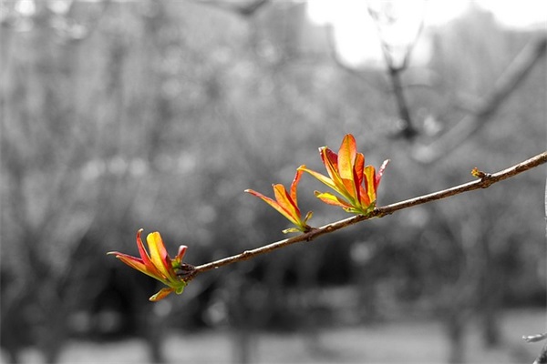 班主任寄语20字-40句