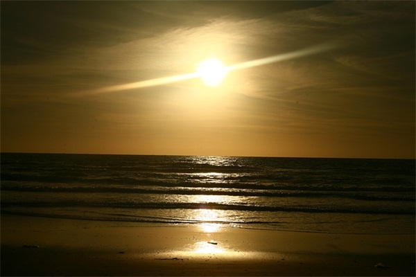 对孩子的廉洁寄语100字-59句