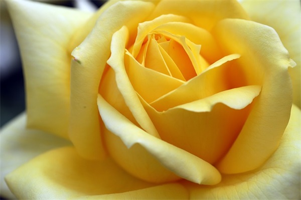 小学生二年级寄语简短鼓励-51句