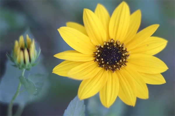 给闺蜜的深情寄语怎么写-55句