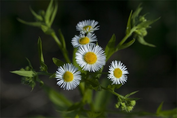走进高三家长寄语鼓励-51句