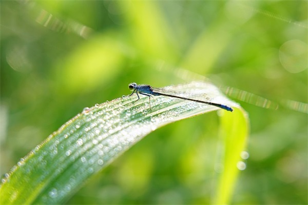 寄语大全之给十岁女儿的寄语-39句